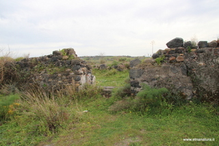 ammena-26-02-2023 14-13-03